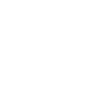 mindflow logo (2)