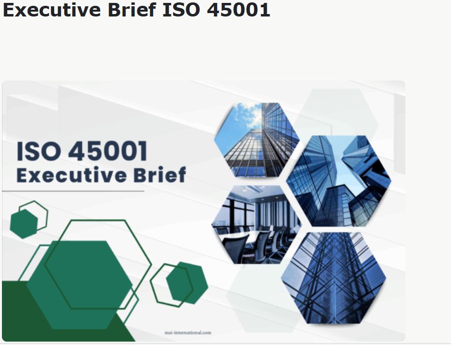 ISO & ESG Goals Integration Strategies & Benefits 2 image.png