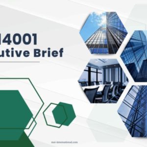 Cover image of modern skyscrapers with ISO 14001 executive brief title.